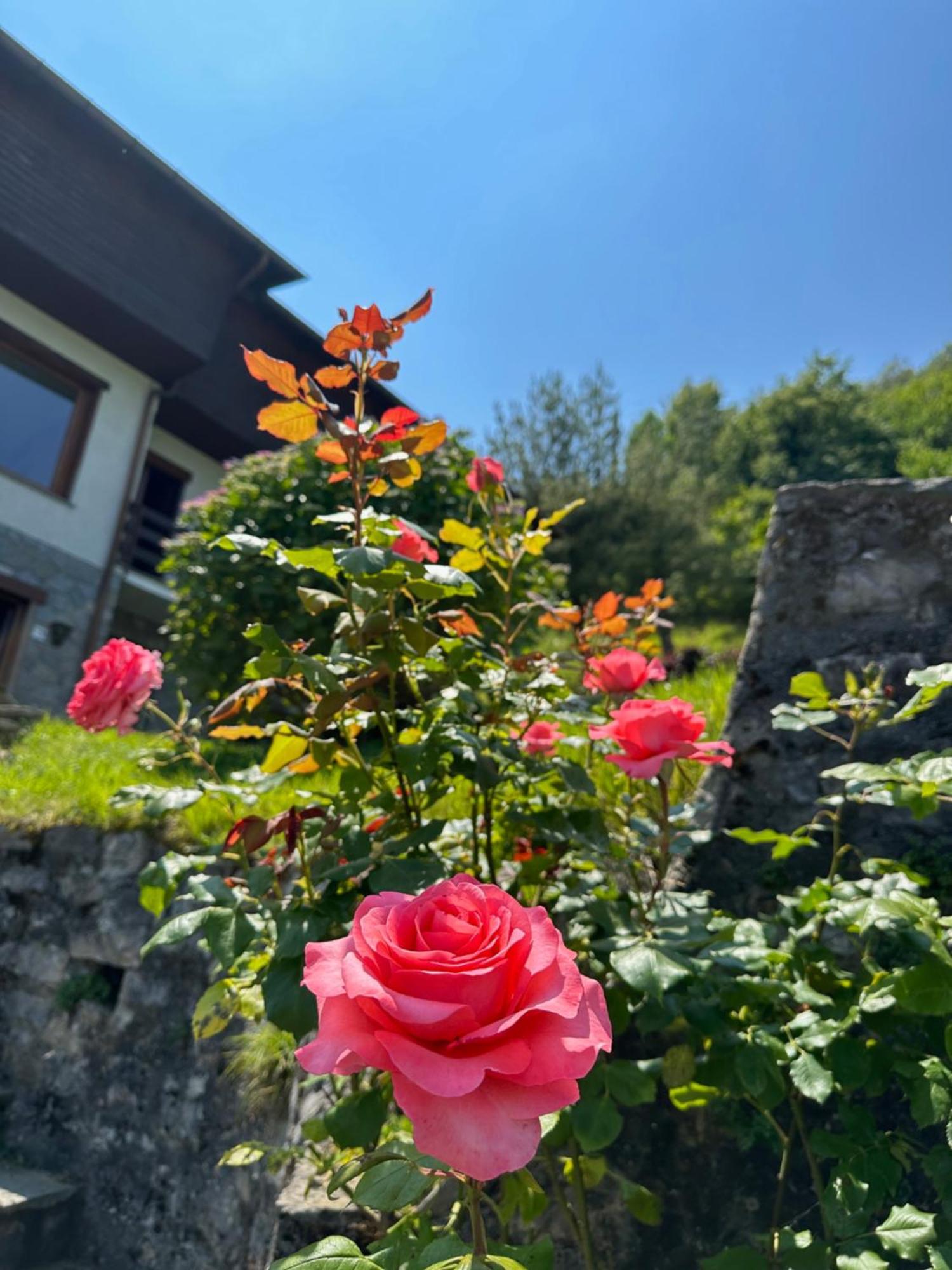 Villa D'Alba Guest House Civenna ภายนอก รูปภาพ